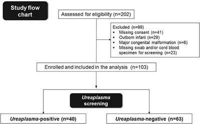 Frontiers Perinatal Ureaplasma Exposure Is Associated With Increased